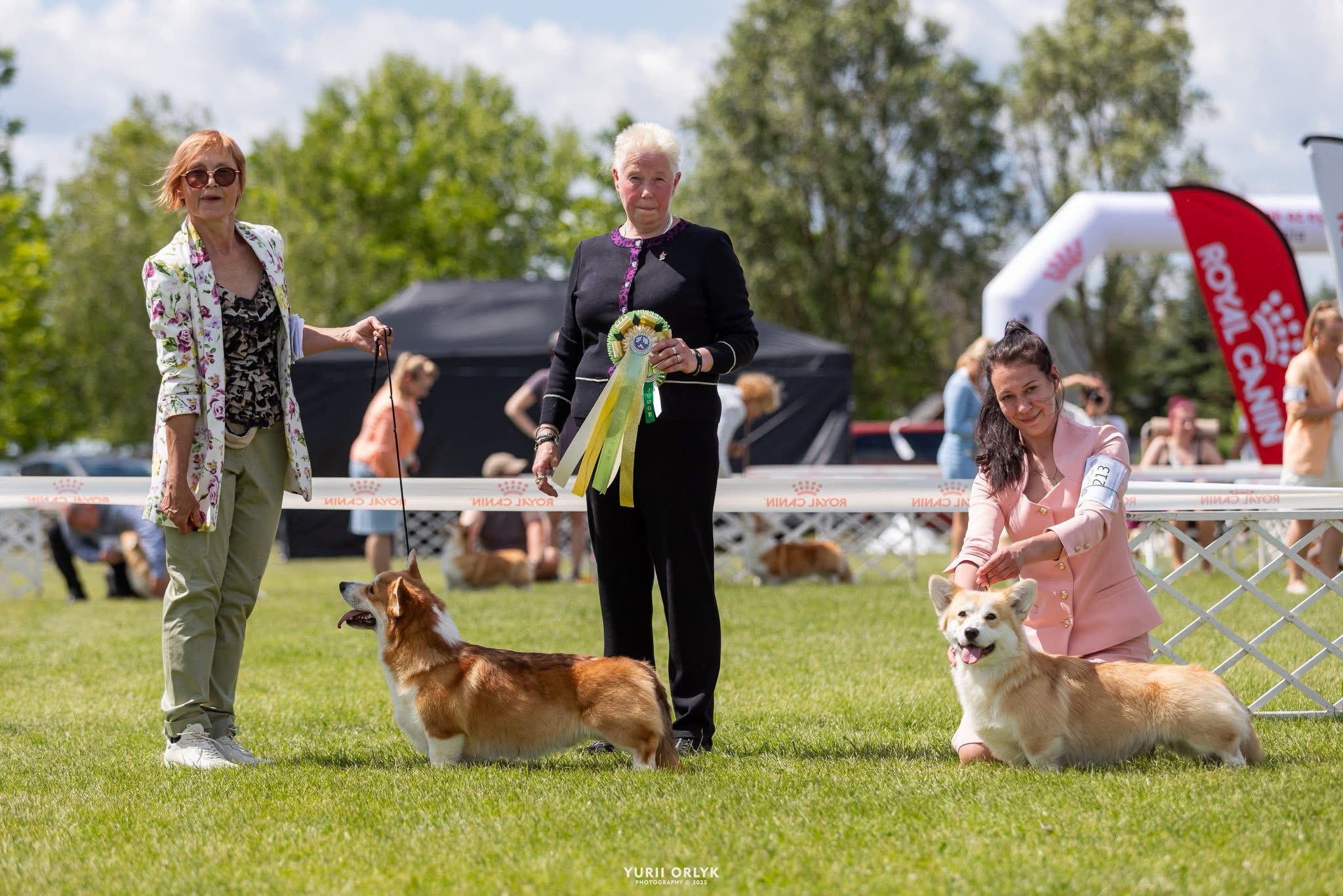 спеціалізована виставка коргі 
